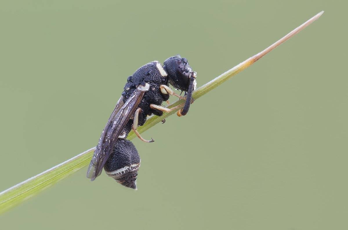 , Вадим Ходаковский