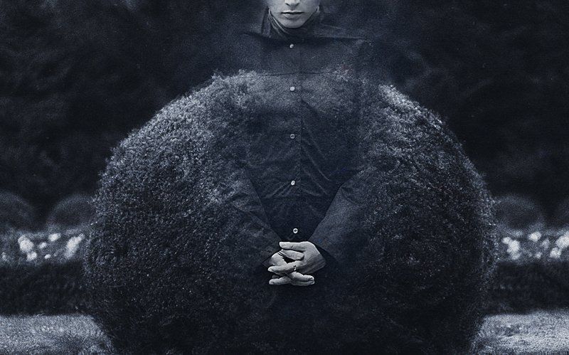 still waiting фото превью