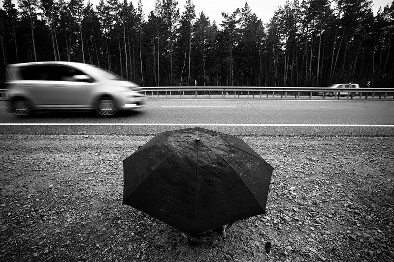 земляника, strawberry, russia, мальчик, дорога, барнаул, новосибирск продавец земляники фото превью