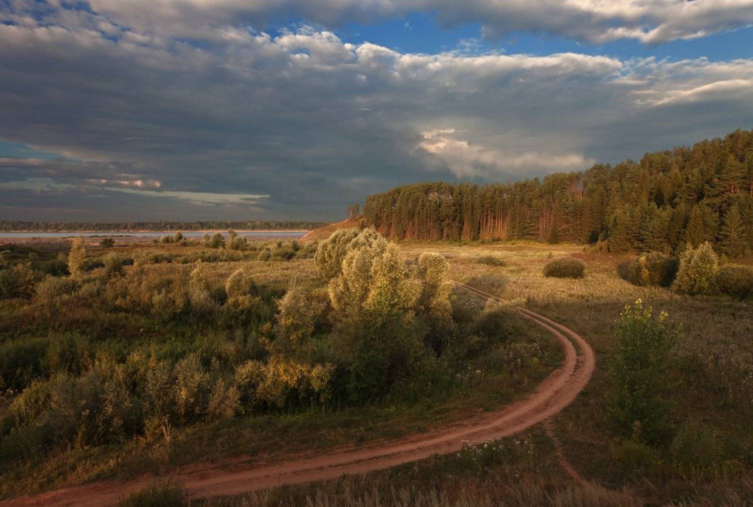 берег, дорога, колея, трава, , лес, река, кама, вечер, Георгий Машковцев