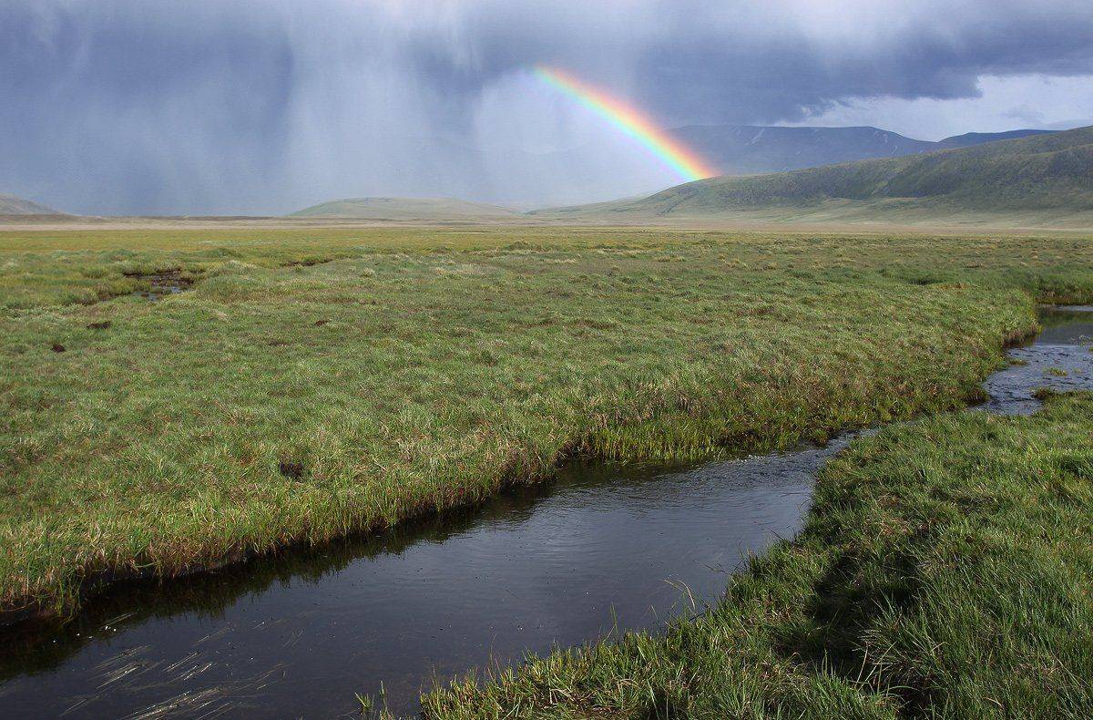 укок, радуга, алтай, дождь, Артем Головин
