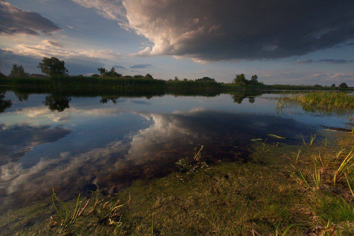 , Петр Антонович