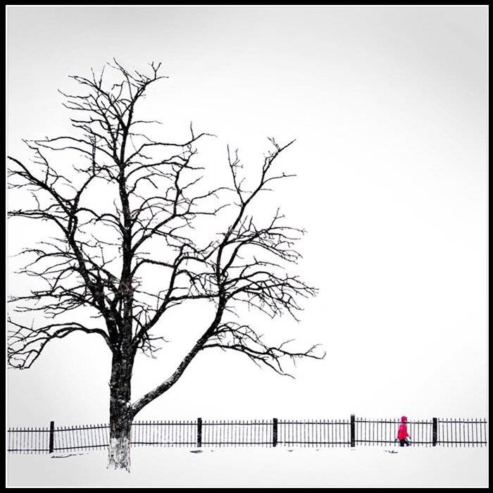 , Сидоренко Алексей