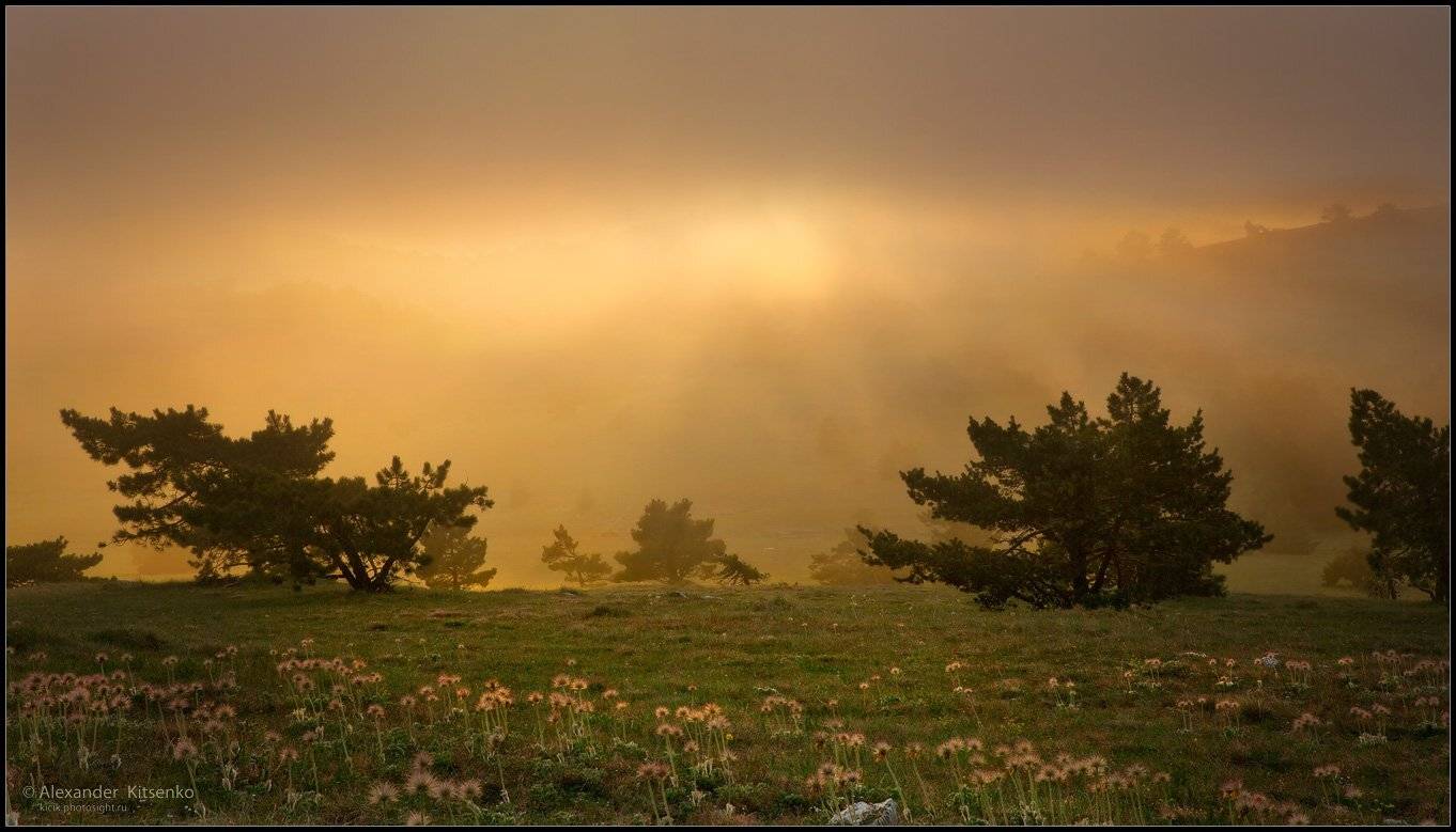 крым, ай-петри, вечер, туман, закат, Александр Киценко