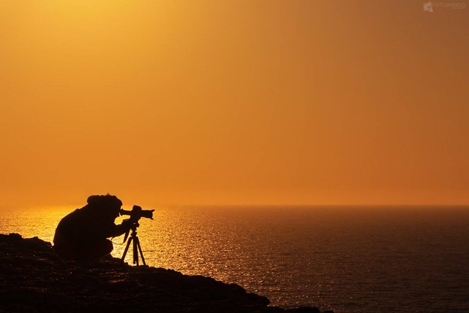 , Mindaugas Navickas