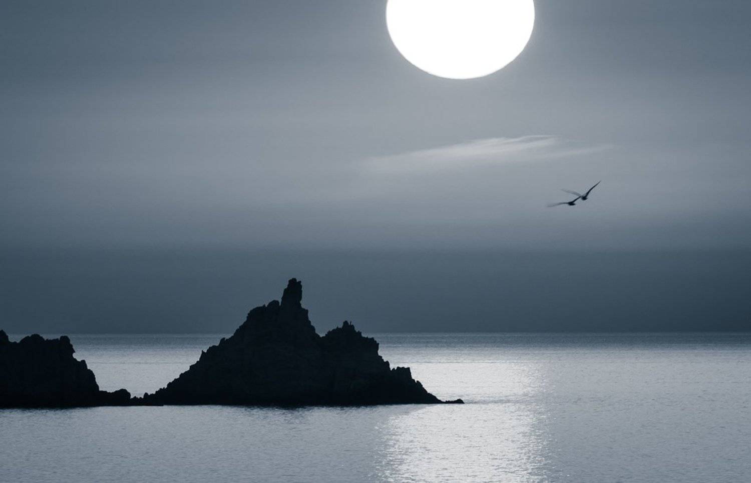 , Надежда Звягина / New Zealand