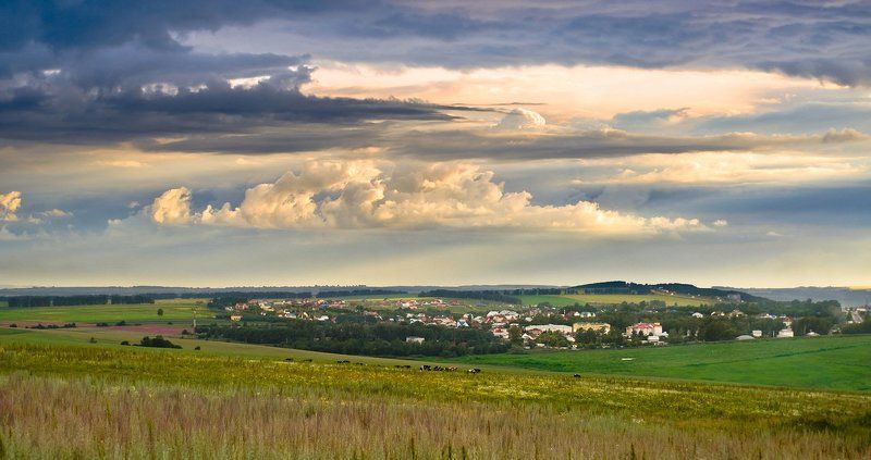 На лугу пасутся Ко фото превью