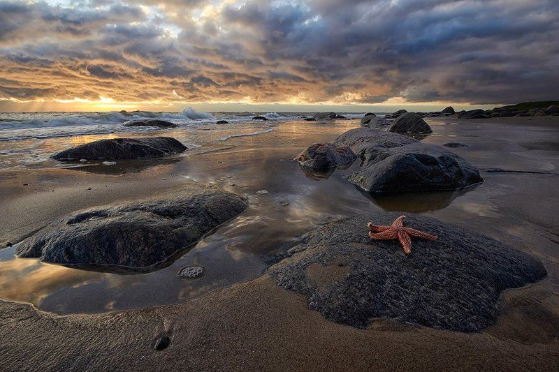 белое, море, север Доброе утро фото превью