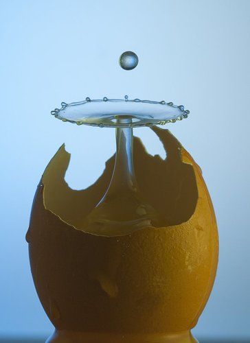 suprise egg..