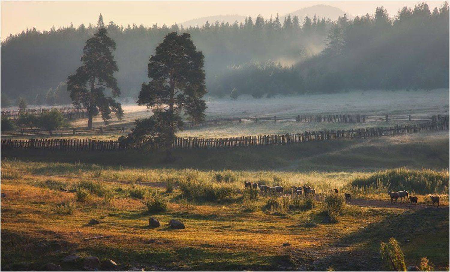 тюлюк, Олег Астахов
