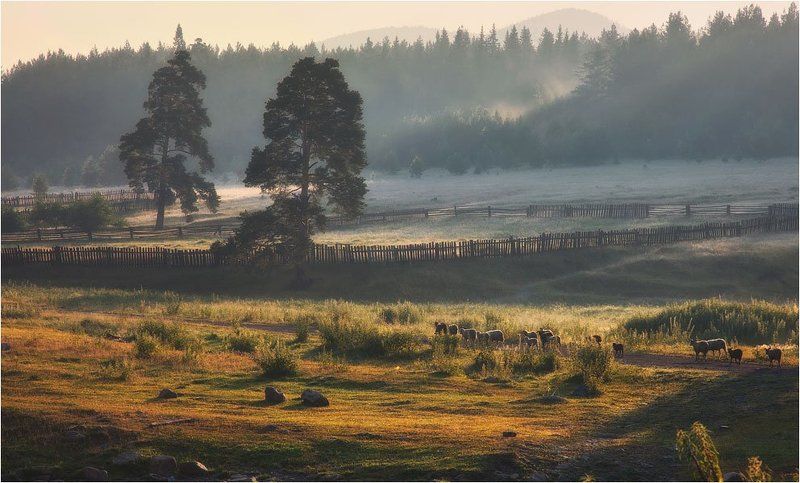 тюлюк Утро в Тюлюке фото превью