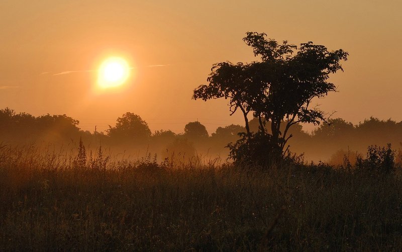 Под Калахари фото превью