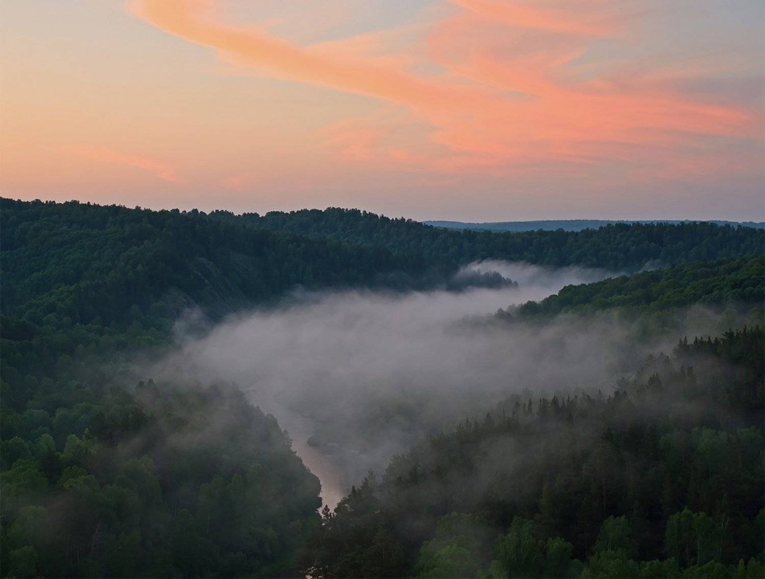 , Николай Попов