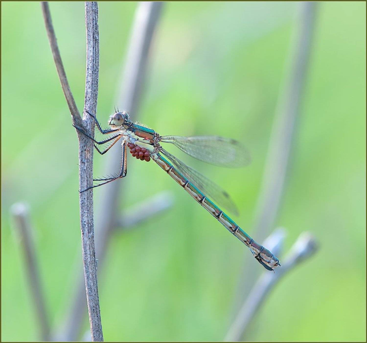 , Евгений Кирилкин.