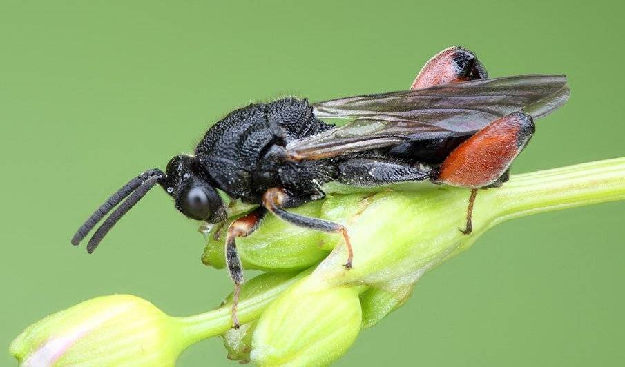 , Сергей Таланов