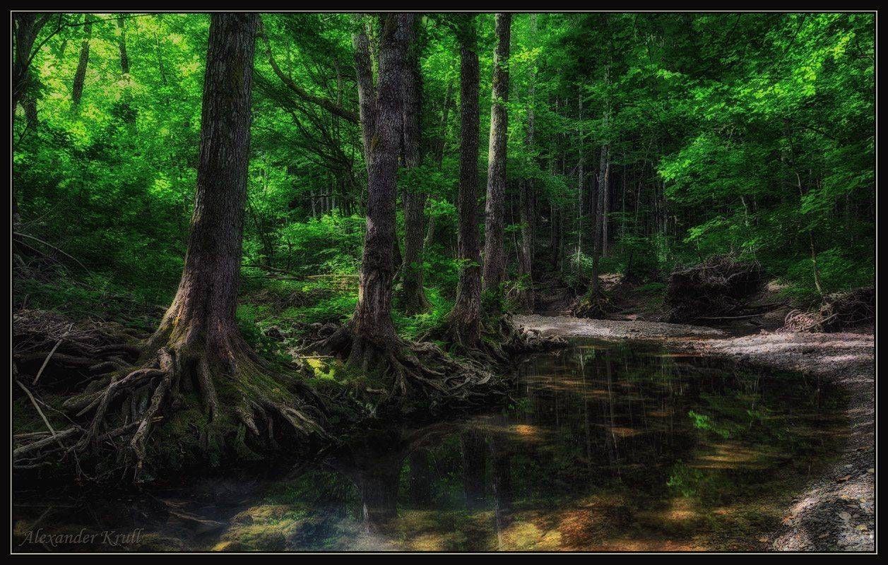 ручей, бурлаченкова, щель, краснодарский, край, Александр Круль