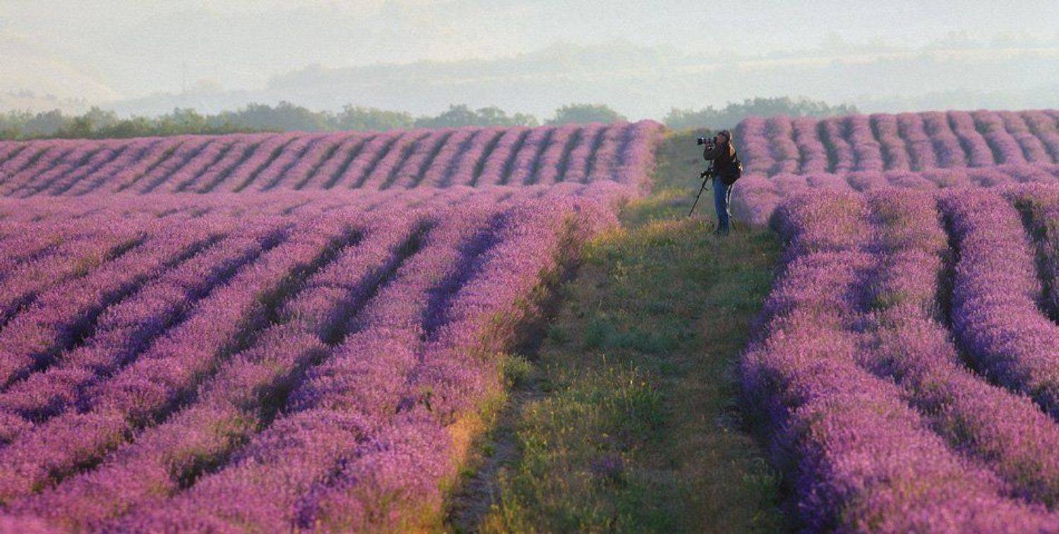 , Андрей Гусаченко