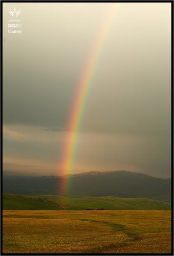 По зелёным холмам...