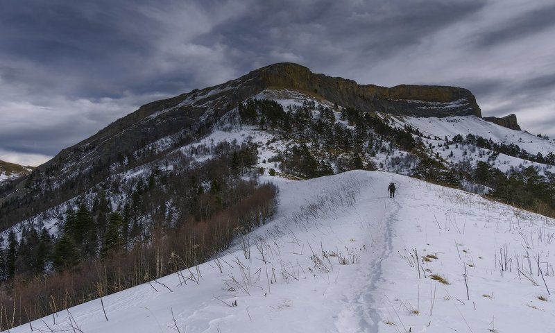 ПО ДОРОГЕ К ДОМУ фото превью