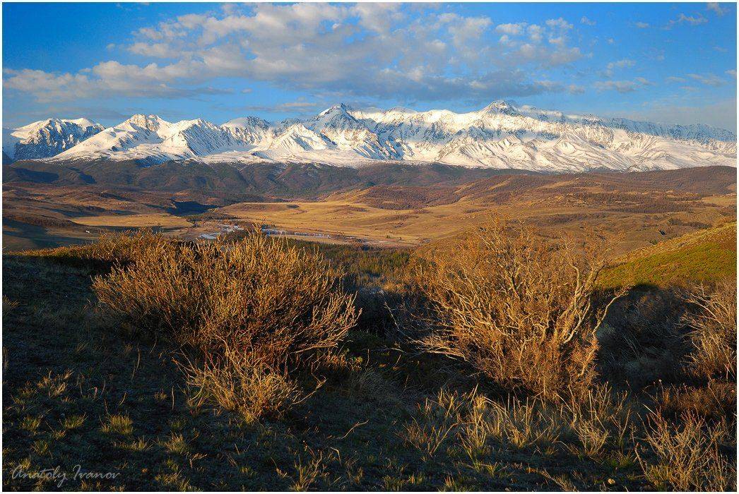 горный алтай, курайская степь, Анатолий Иванов