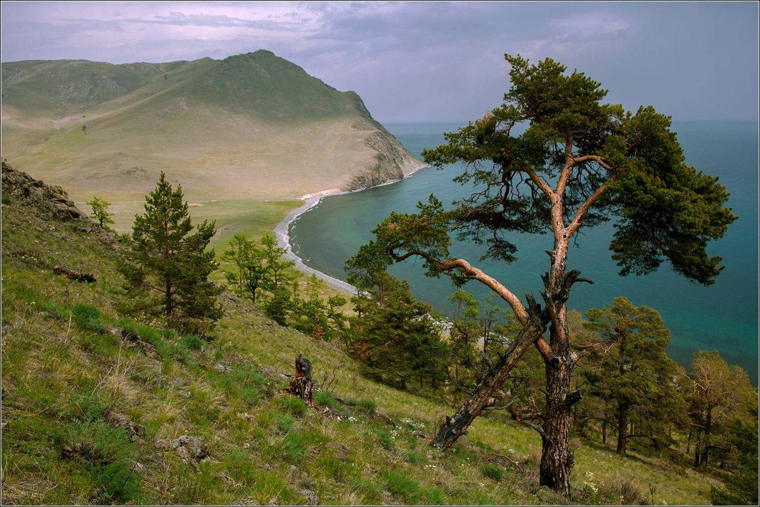 байкал, Сергей Низовцев
