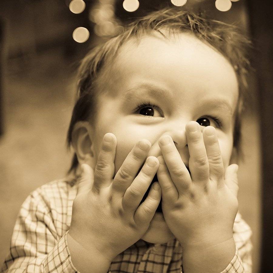 , Лунный Ежик