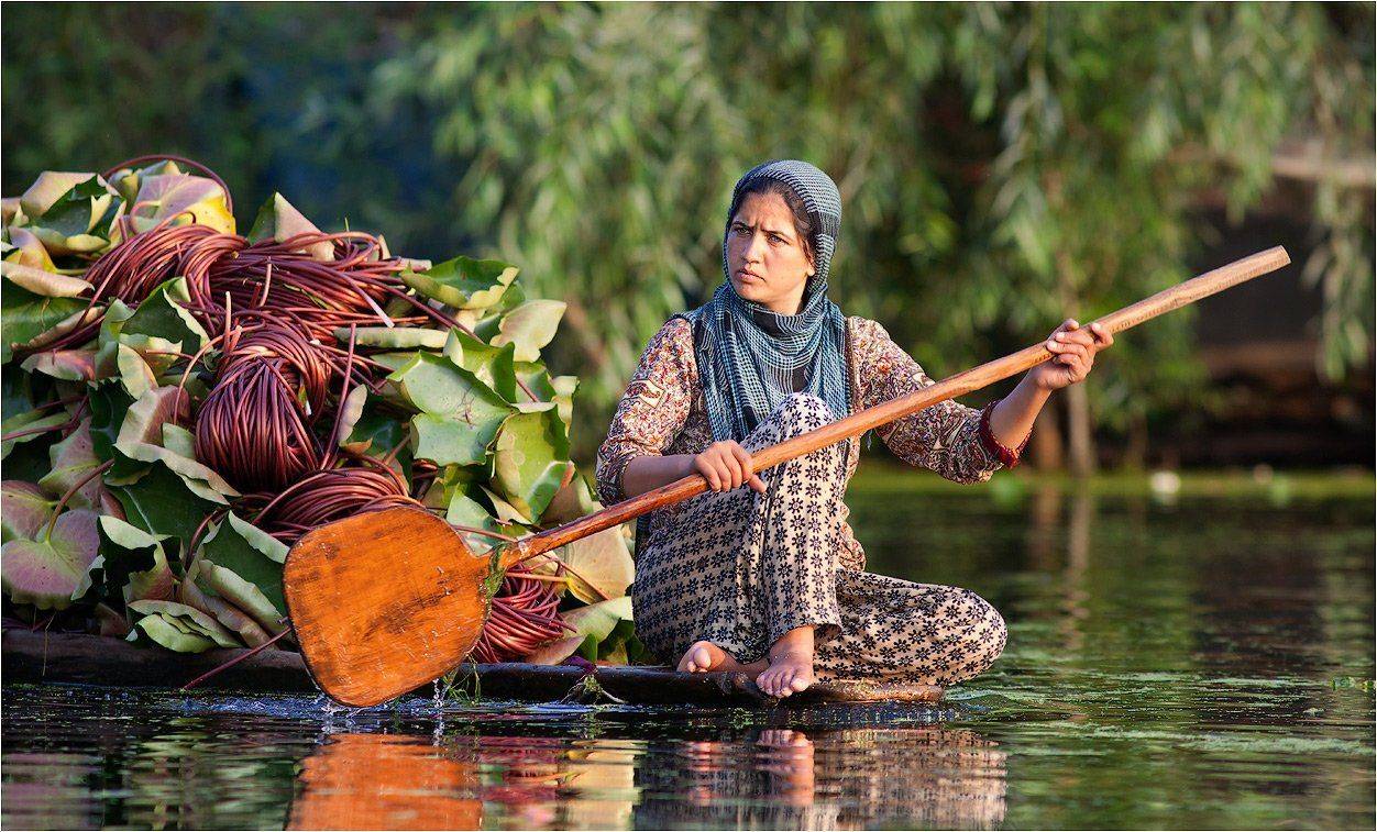 шринагар, кашмир, индия, Yury Pustovoy