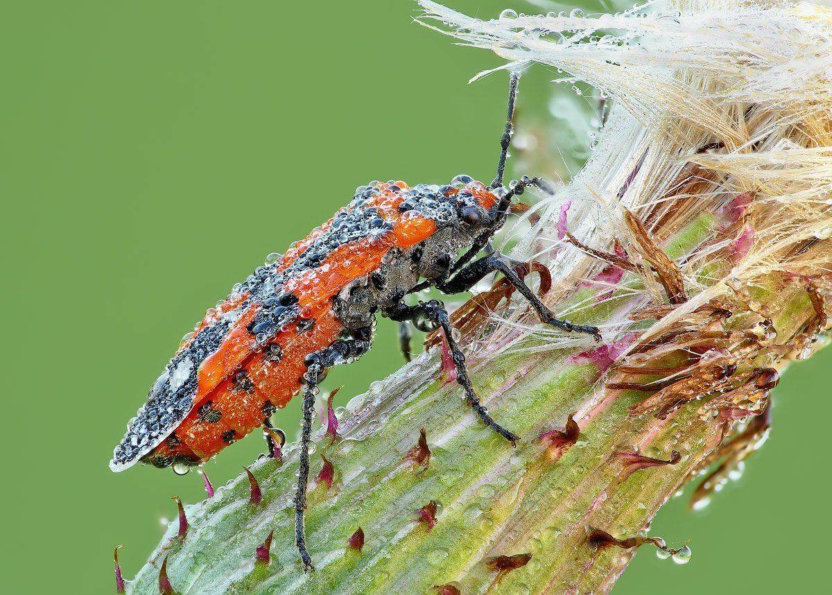 , Вадим Ходаковский