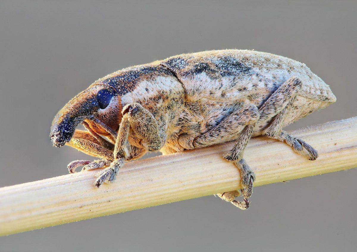 , Вадим Ходаковский