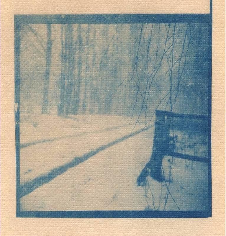 цианотип *** фото превью