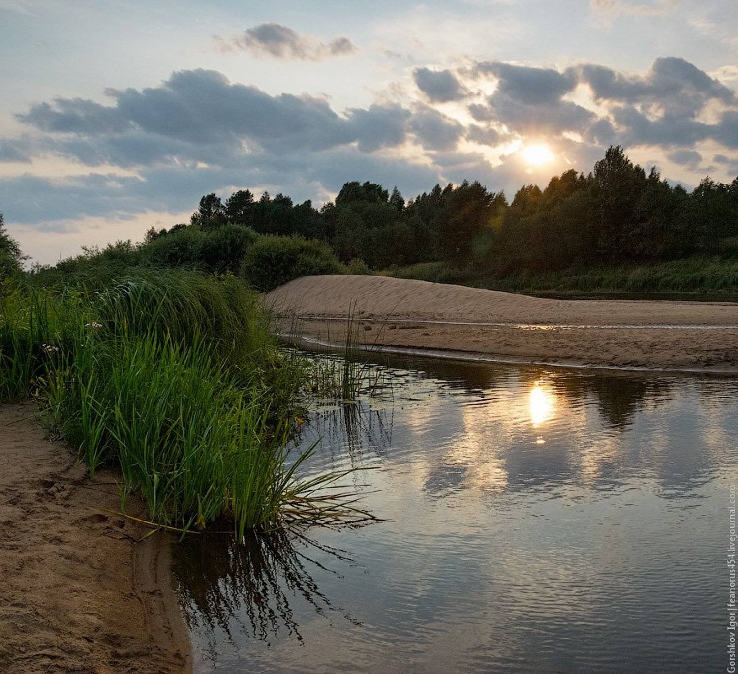 молога,река,лето,вечер,rpp, Gorshkov Igor_Feanorus