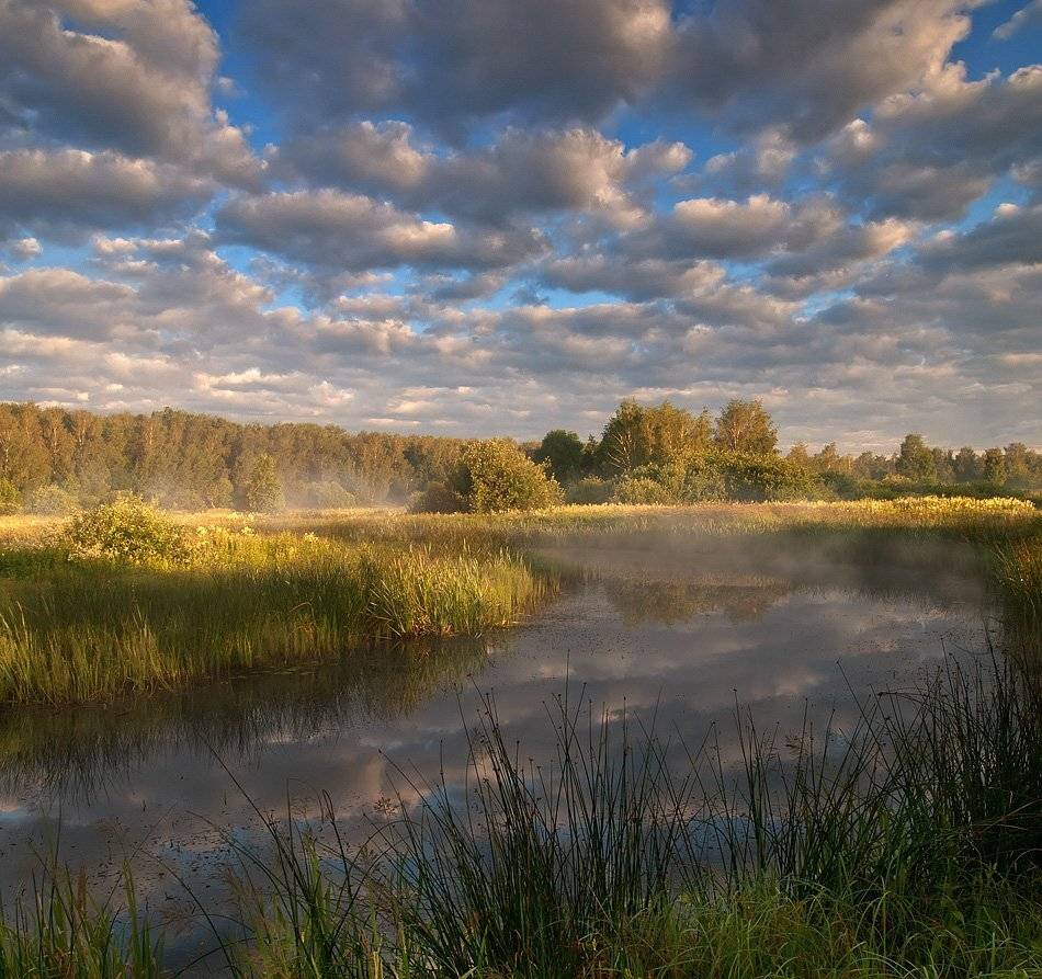 , Марина Брыдня