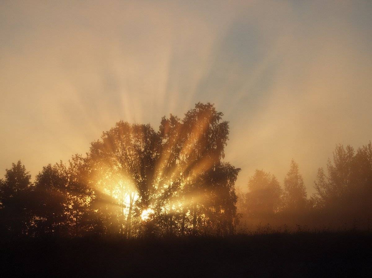 , Владимир Перепечаев