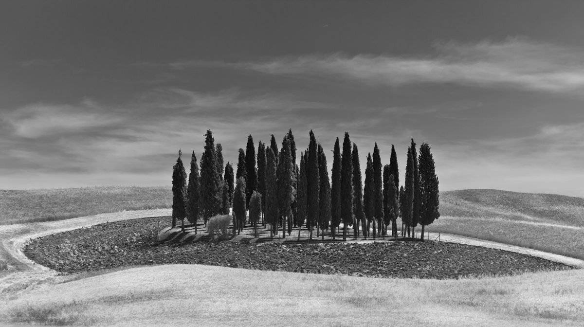 тоскана, san ouirico d\\orcia, Людмила Прокофьева