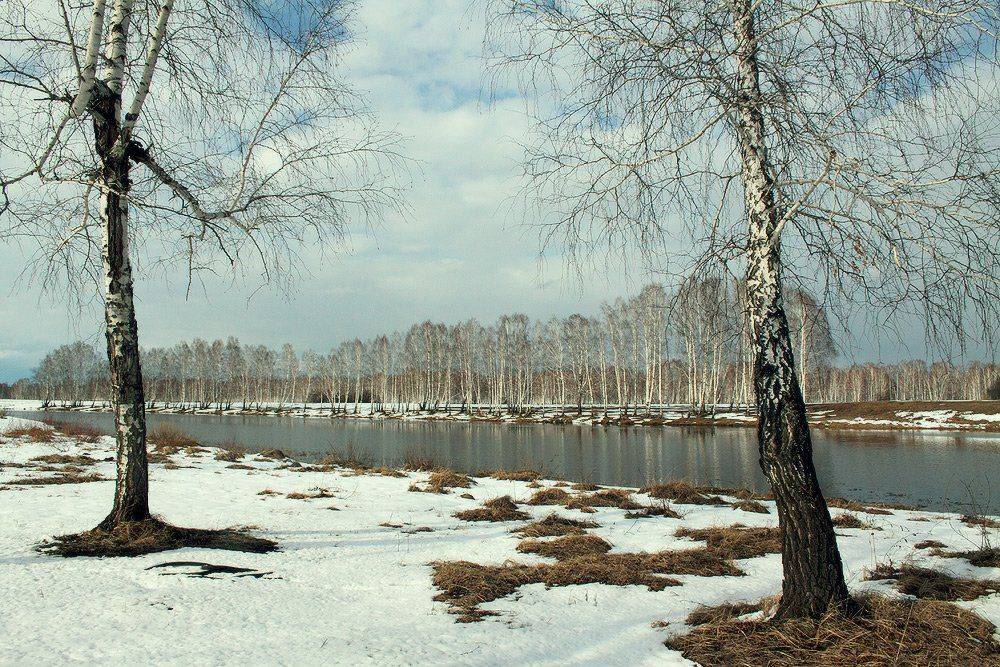 , Николай Морский