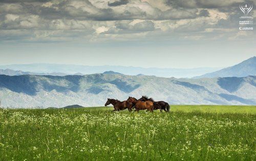 Летние пастбища Табан-Карагай и окрестности