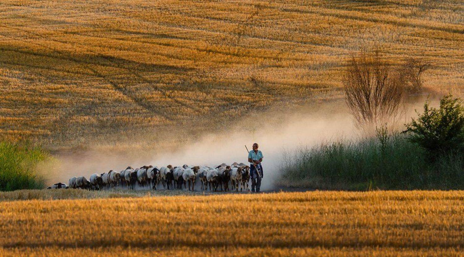 , Jordanka Jordanova