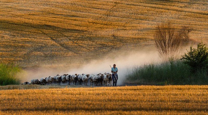 dusk фото превью