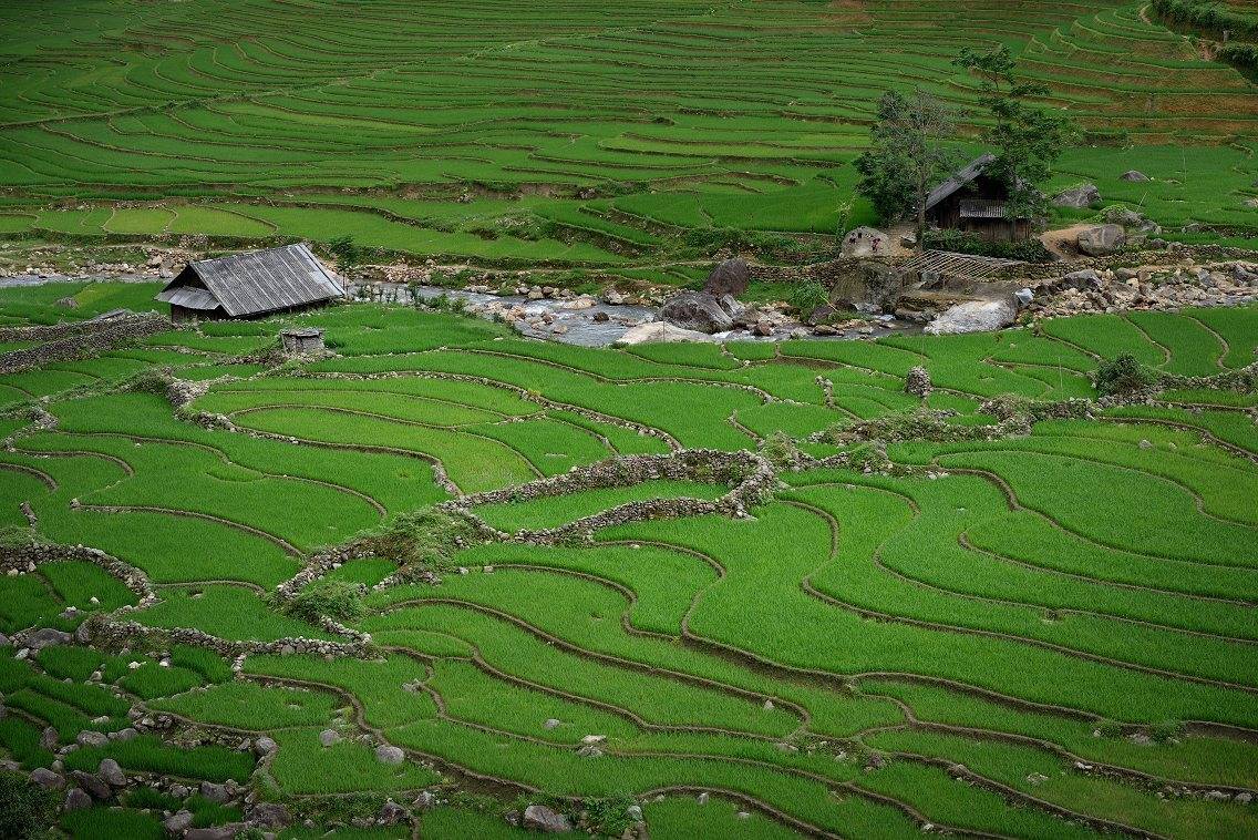 север вьетнама, сапа, рисовые поля, горная река, Soft Light