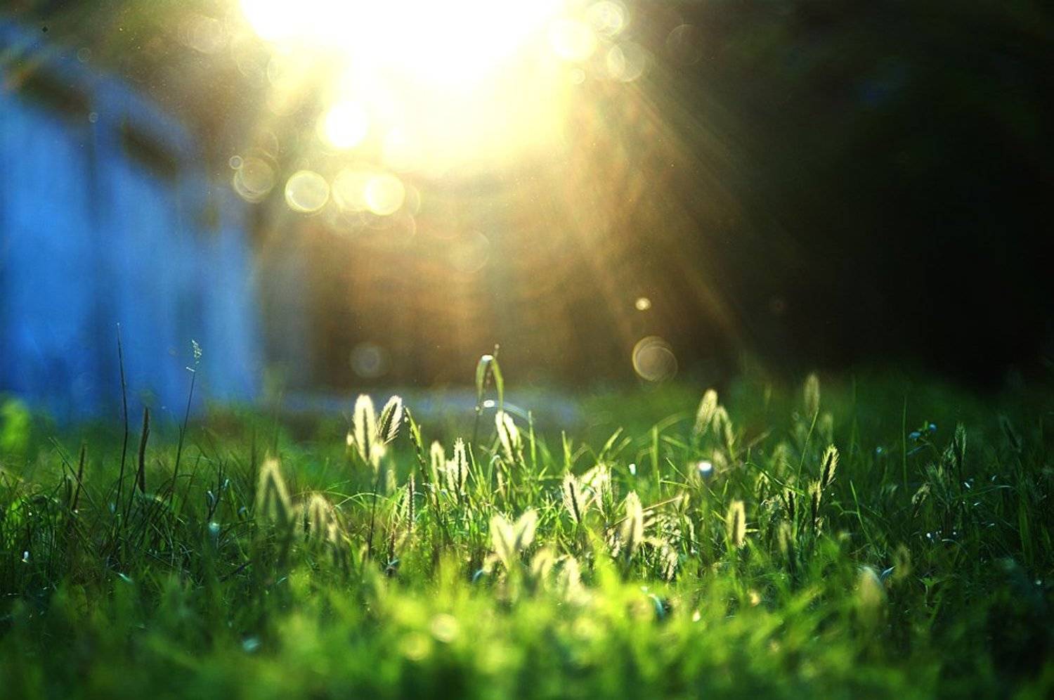 , Миронов Сергей