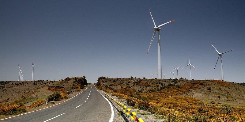 madeira, мадейра, ветряк Silence Power фото превью