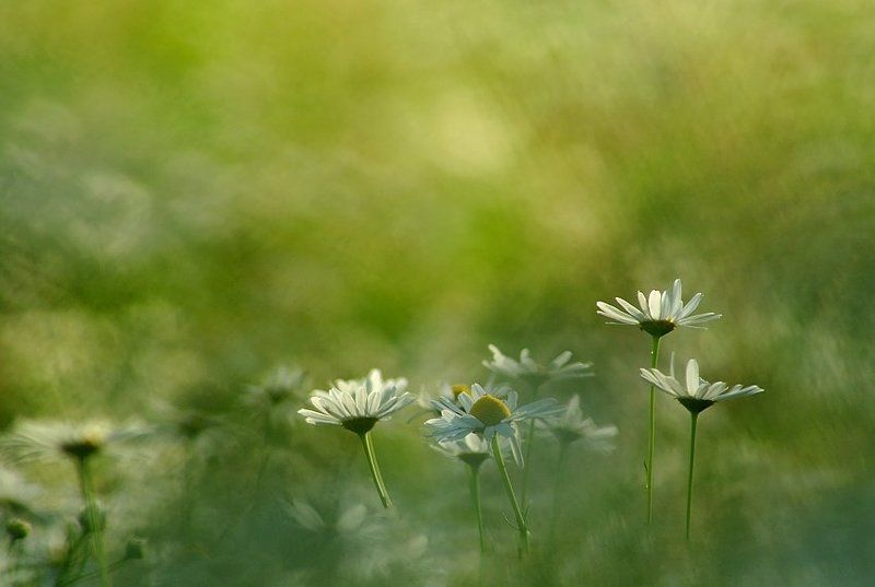 :-)) фото превью