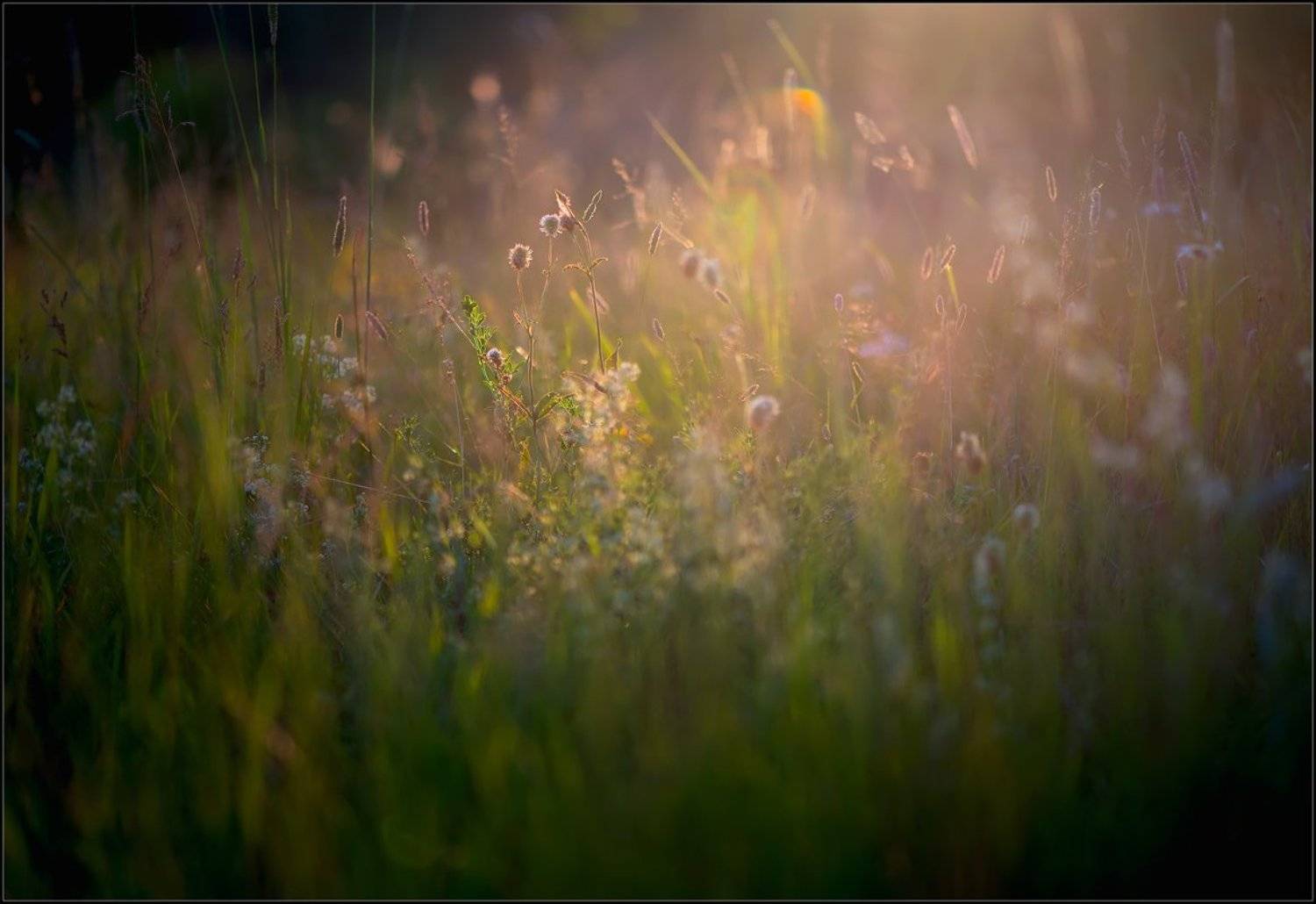 , Евгений Кирилкин.