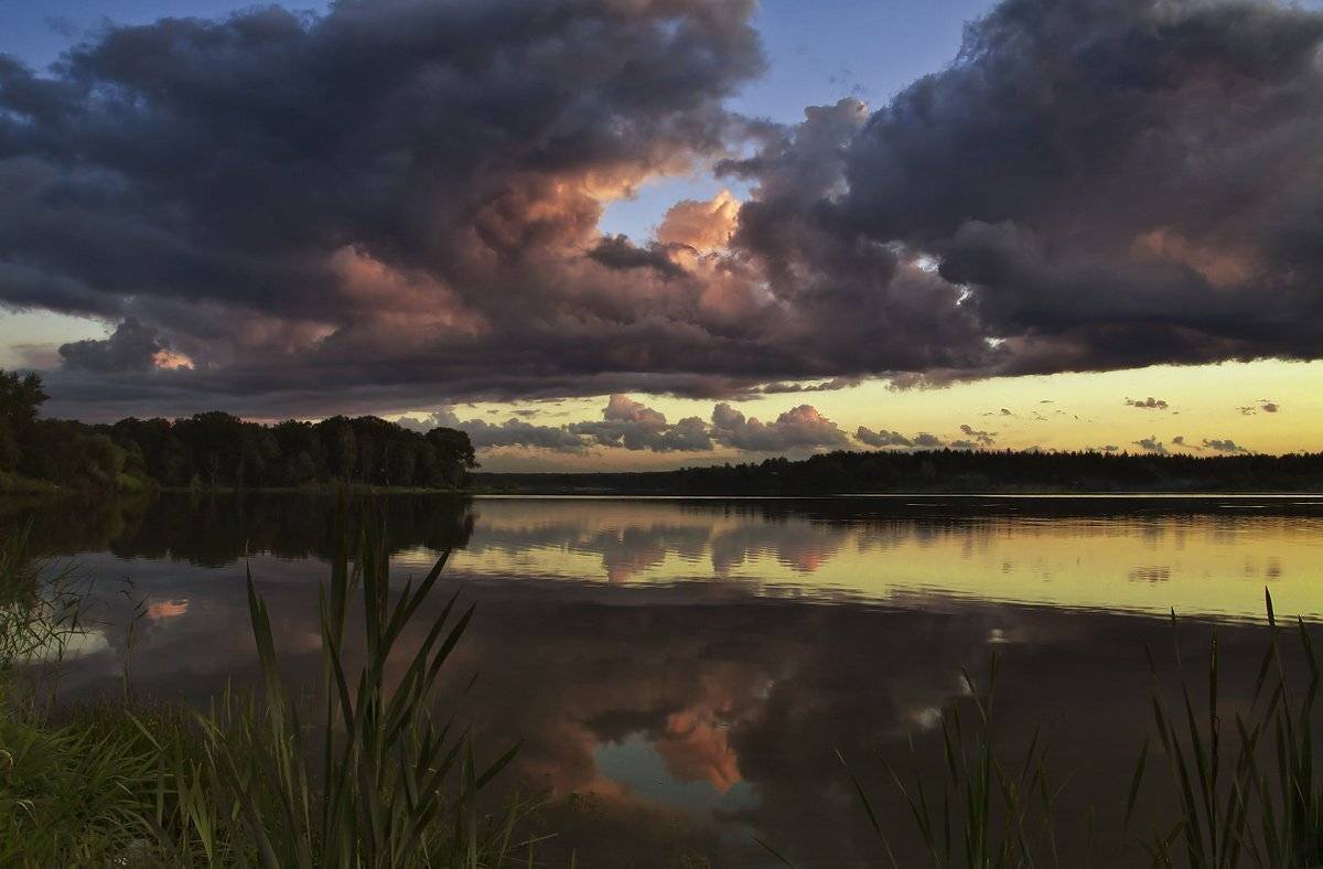 купавна, бисерово, Андрей Леонидович