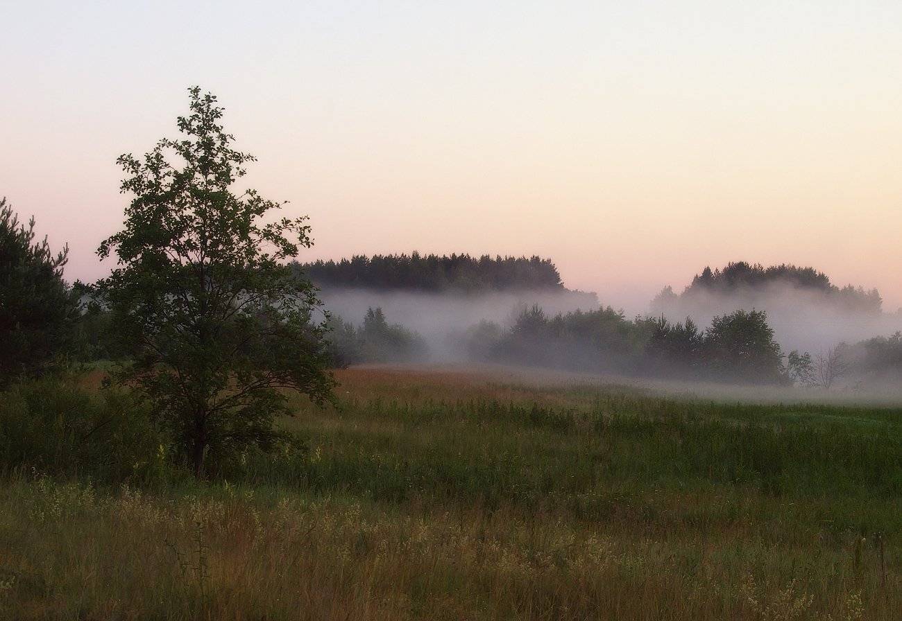 , Владимир Перепечаев