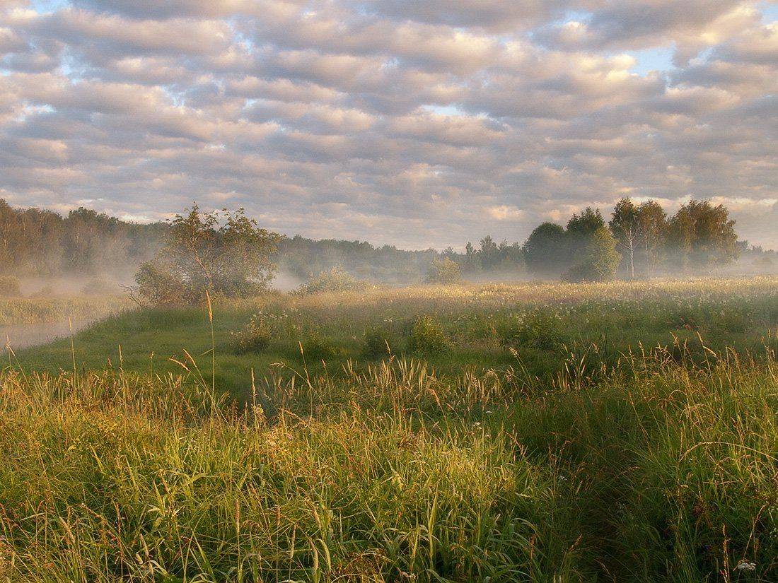 , Марина Брыдня