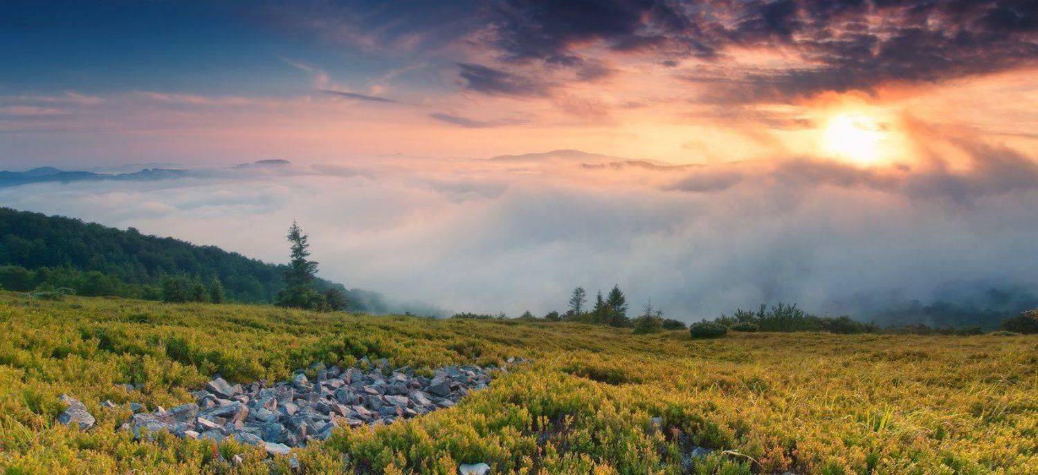 , Денис Кривой