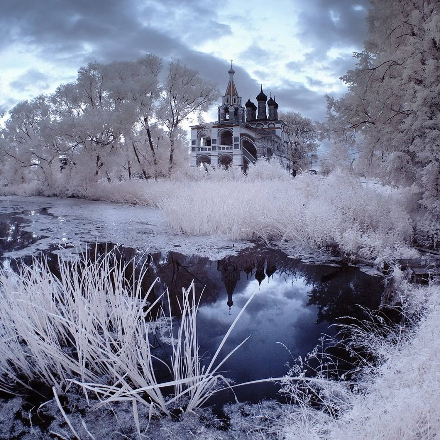 , Максим Евдокимов