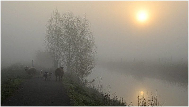 Early in the morning. фото превью