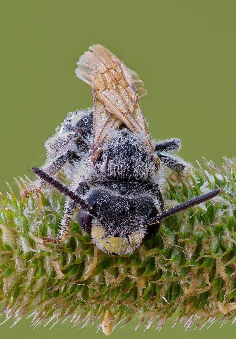 , Вадим Ходаковский